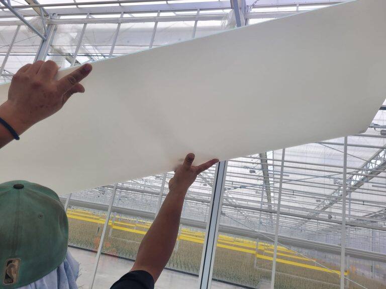 Greenhouse glass replacement by VGB Workers