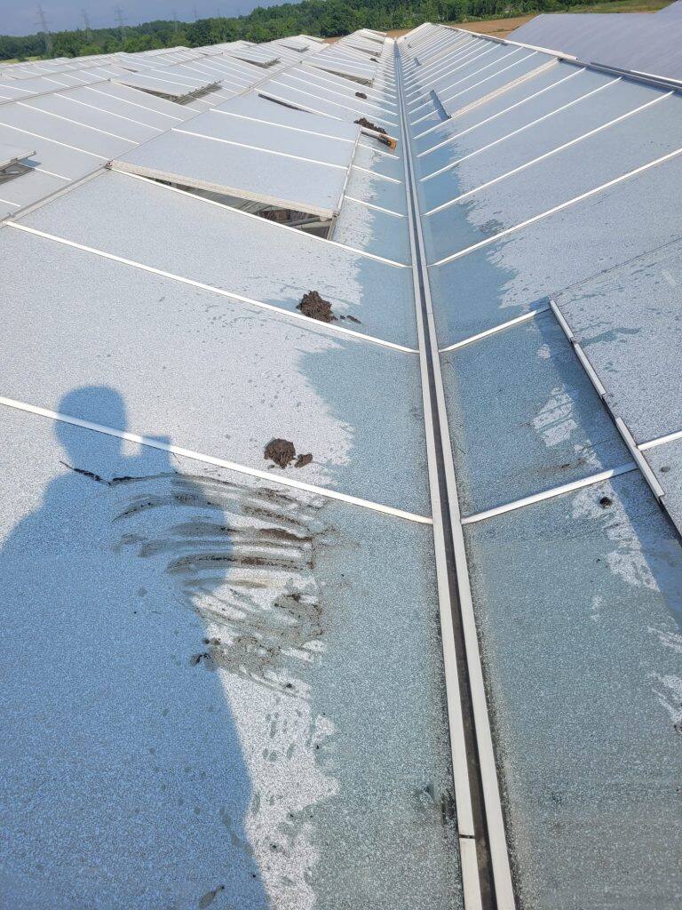 Greenhouse gutter cleaning and maintenance