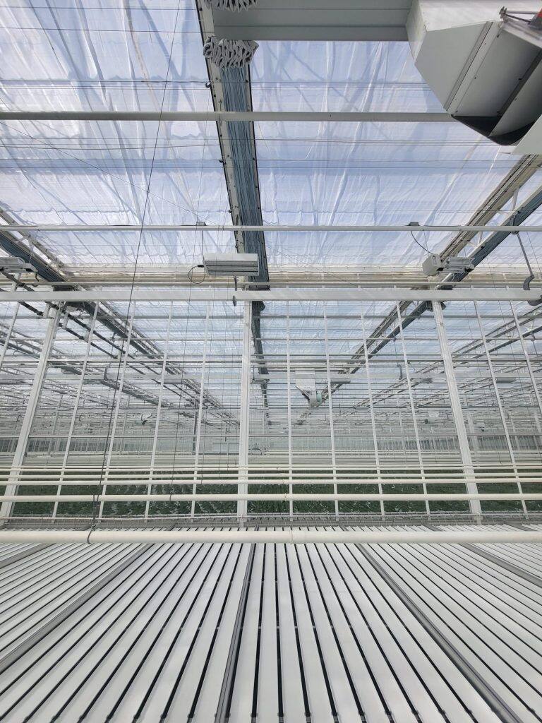 Greenhouse screen system installation by VGB Workers