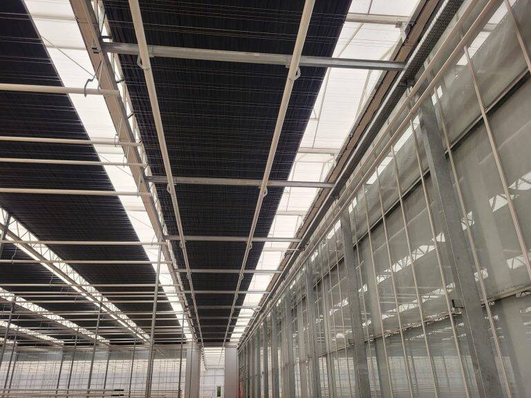 Greenhouse screen system installation by VGB Workers