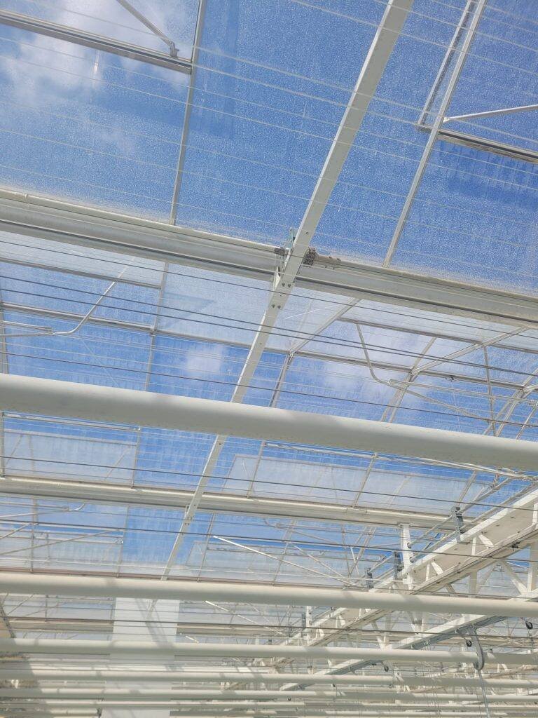 Greenhouse screen system installation by VGB Workers