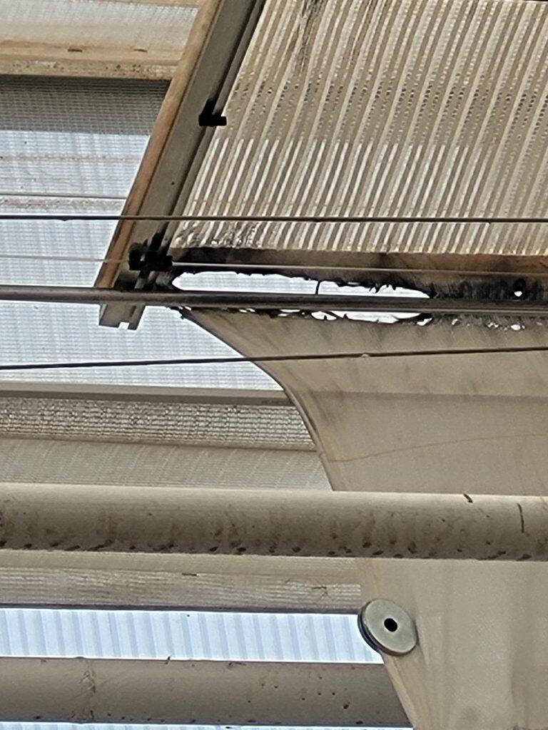 Greenhouse screen system maintenance and curtain replacement