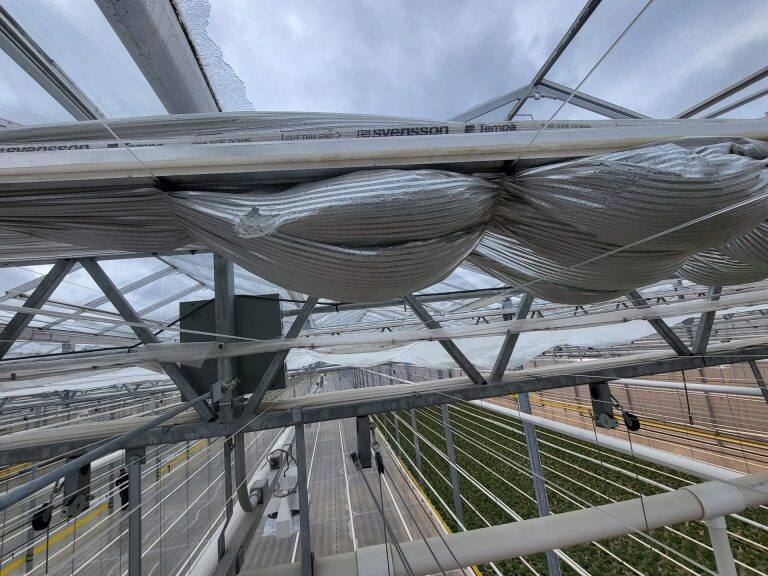 Greenhouse screen system maintenance and curtain replacement