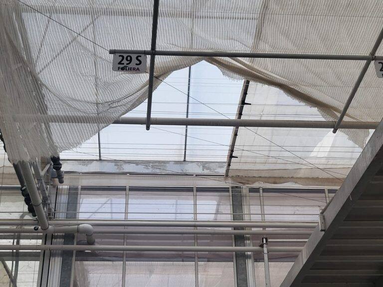 Greenhouse screen system maintenance and curtain replacement
