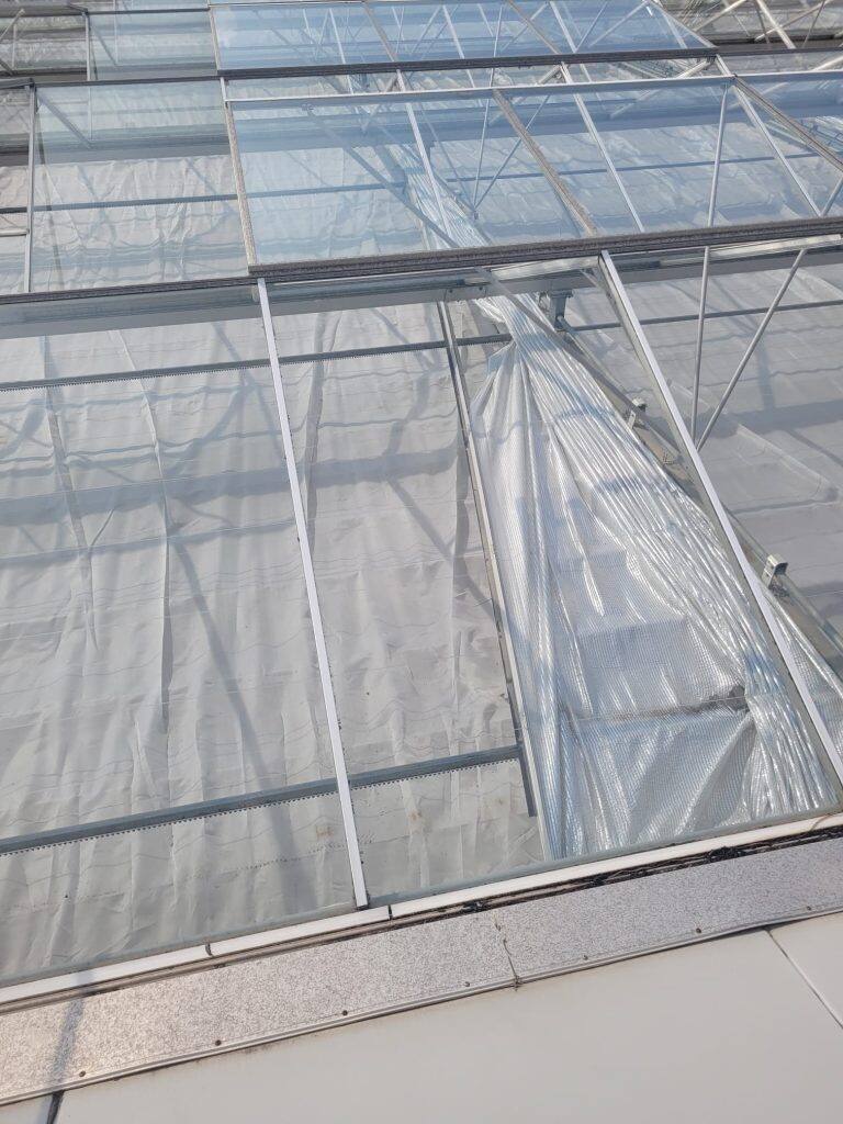 Greenhouse screen system maintenance and curtain replacement