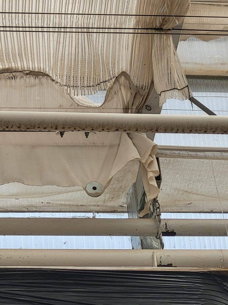 Greenhouse screen system maintenance and curtain replacement