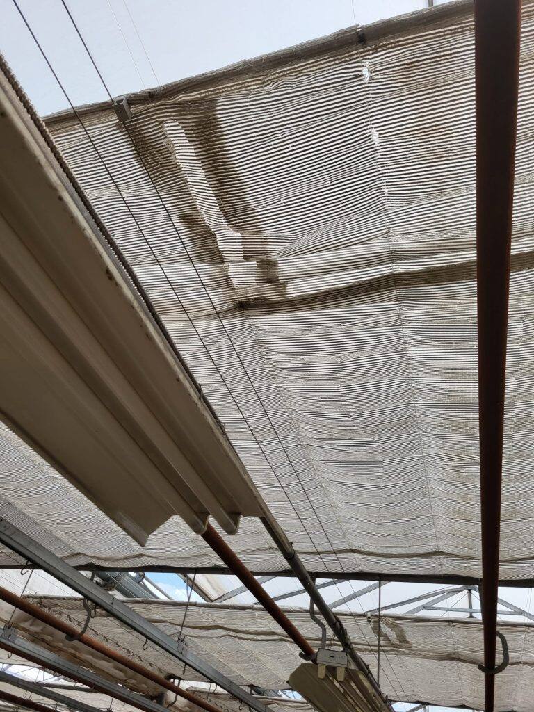 Greenhouse screen system maintenance and curtain replacement