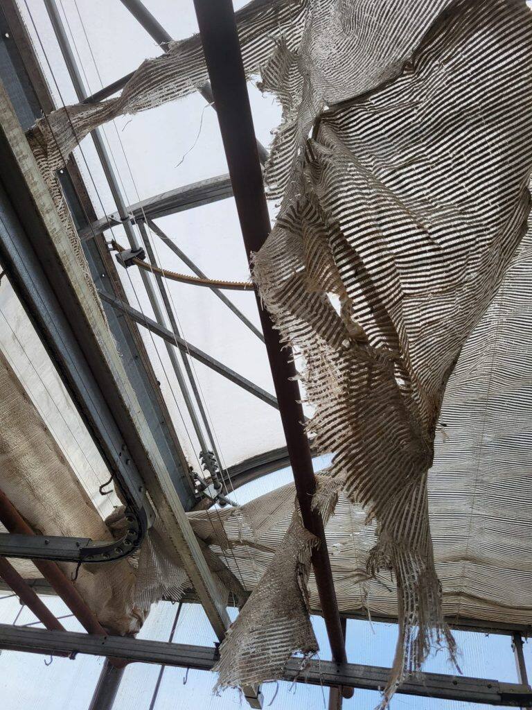 Greenhouse screen system maintenance and curtain replacement